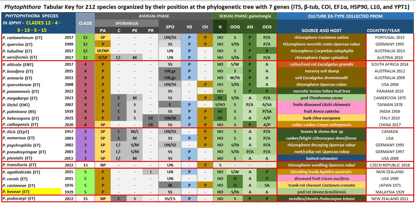    Phytophthora  spp. in Clade 5:  Morphological Tabular key (PDF) and Tabular key legends (PDF) in IDphy2 KEY SECTION. Notice the data of   P. heveae  Ex-type CBS 296.29 = Samp;T BL 67 . Gloria Abad, USDA Samp;T.
